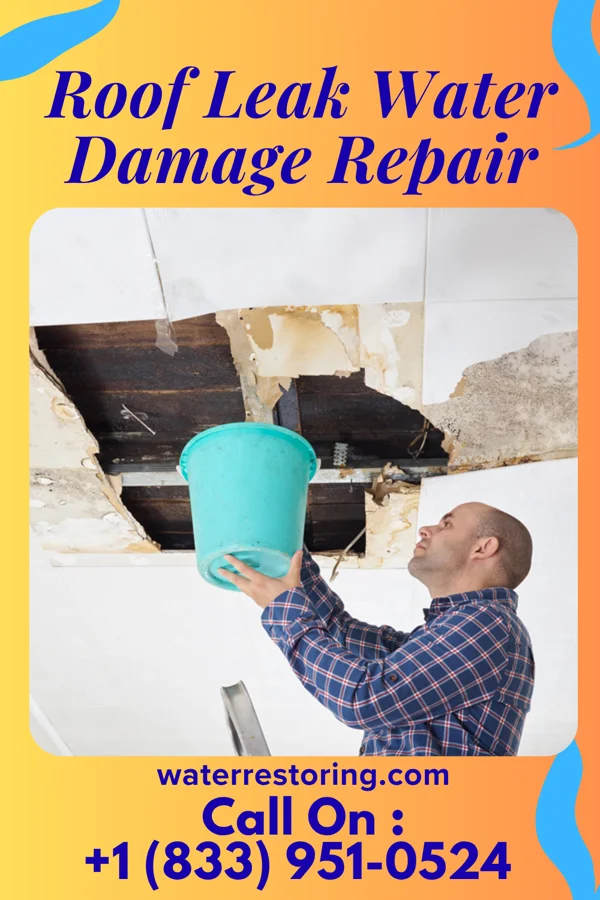 Roof Leak Water Damage Repair in Casa Blanca, AZ